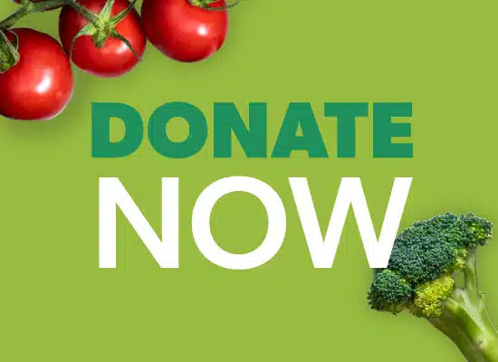 Donate Now